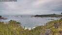 ./images/calvert/foggy-cove/20260603/foggy-cove20260603_080001M.jpg