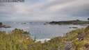 ./images/calvert/foggy-cove/20260603/foggy-cove20260603_080501M.jpg