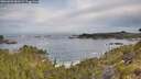 ./images/calvert/foggy-cove/20260603/foggy-cove20260603_081001M.jpg