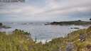 ./images/calvert/foggy-cove/20260603/foggy-cove20260603_081501M.jpg