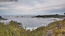 ./images/calvert/foggy-cove/20260603/foggy-cove20260603_082001M.jpg