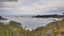 ./images/calvert/foggy-cove/20260603/foggy-cove20260603_082501M.jpg