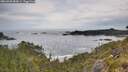 ./images/calvert/foggy-cove/20260603/foggy-cove20260603_083001M.jpg