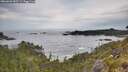 ./images/calvert/foggy-cove/20260603/foggy-cove20260603_083501M.jpg