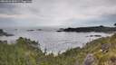 ./images/calvert/foggy-cove/20260603/foggy-cove20260603_084501M.jpg