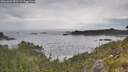 ./images/calvert/foggy-cove/20260603/foggy-cove20260603_085501M.jpg