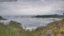 ./images/calvert/foggy-cove/20260603/foggy-cove20260603_090502M.jpg
