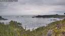 ./images/calvert/foggy-cove/20260603/foggy-cove20260603_091501M.jpg