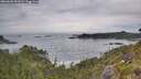 ./images/calvert/foggy-cove/20260603/foggy-cove20260603_092001M.jpg