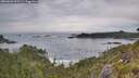 ./images/calvert/foggy-cove/20260603/foggy-cove20260603_092501M.jpg