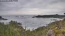 ./images/calvert/foggy-cove/20260603/foggy-cove20260603_093002M.jpg