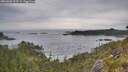 ./images/calvert/foggy-cove/20260603/foggy-cove20260603_093501M.jpg