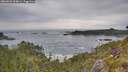 ./images/calvert/foggy-cove/20260603/foggy-cove20260603_094001M.jpg