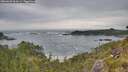 ./images/calvert/foggy-cove/20260603/foggy-cove20260603_094501M.jpg