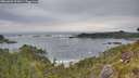 ./images/calvert/foggy-cove/20260603/foggy-cove20260603_095001M.jpg