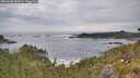 ./images/calvert/foggy-cove/20260603/foggy-cove20260603_100501M.jpg