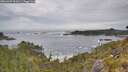 ./images/calvert/foggy-cove/20260603/foggy-cove20260603_101001M.jpg