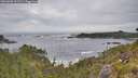 ./images/calvert/foggy-cove/20260603/foggy-cove20260603_101501M.jpg
