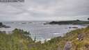 ./images/calvert/foggy-cove/20260603/foggy-cove20260603_102001M.jpg
