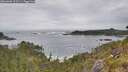 ./images/calvert/foggy-cove/20260603/foggy-cove20260603_103501M.jpg
