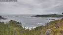 ./images/calvert/foggy-cove/20260603/foggy-cove20260603_104001M.jpg