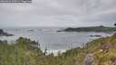 ./images/calvert/foggy-cove/20260603/foggy-cove20260603_104501M.jpg