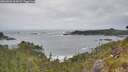 ./images/calvert/foggy-cove/20260603/foggy-cove20260603_105001M.jpg