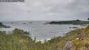 ./images/calvert/foggy-cove/20260603/foggy-cove20260603_105501M.jpg