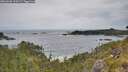 ./images/calvert/foggy-cove/20260603/foggy-cove20260603_110501M.jpg