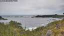 ./images/calvert/foggy-cove/20260603/foggy-cove20260603_111001M.jpg