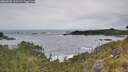 ./images/calvert/foggy-cove/20260603/foggy-cove20260603_111501M.jpg