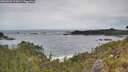 ./images/calvert/foggy-cove/20260603/foggy-cove20260603_112001M.jpg