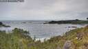 ./images/calvert/foggy-cove/20260603/foggy-cove20260603_112501M.jpg