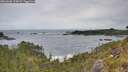 ./images/calvert/foggy-cove/20260603/foggy-cove20260603_113001M.jpg
