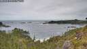 ./images/calvert/foggy-cove/20260603/foggy-cove20260603_113501M.jpg