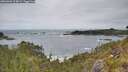 ./images/calvert/foggy-cove/20260603/foggy-cove20260603_114001M.jpg