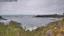 ./images/calvert/foggy-cove/20260603/foggy-cove20260603_114502M.jpg
