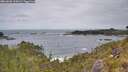 ./images/calvert/foggy-cove/20260603/foggy-cove20260603_115001M.jpg