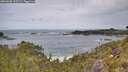 ./images/calvert/foggy-cove/20260603/foggy-cove20260603_115501M.jpg
