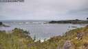 ./images/calvert/foggy-cove/20260603/foggy-cove20260603_121001M.jpg
