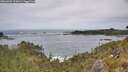 ./images/calvert/foggy-cove/20260603/foggy-cove20260603_122001M.jpg