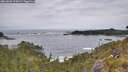 ./images/calvert/foggy-cove/20260603/foggy-cove20260603_124501M.jpg