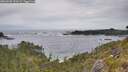 ./images/calvert/foggy-cove/20260603/foggy-cove20260603_132001M.jpg