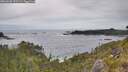 ./images/calvert/foggy-cove/20260603/foggy-cove20260603_132501M.jpg