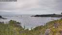 ./images/calvert/foggy-cove/20260603/foggy-cove20260603_133001M.jpg