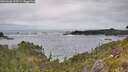 ./images/calvert/foggy-cove/20260603/foggy-cove20260603_133501M.jpg