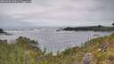 ./images/calvert/foggy-cove/20260603/foggy-cove20260603_134501M.jpg