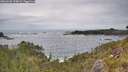 ./images/calvert/foggy-cove/20260603/foggy-cove20260603_135001M.jpg