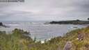 ./images/calvert/foggy-cove/20260603/foggy-cove20260603_135502M.jpg