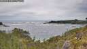 ./images/calvert/foggy-cove/20260603/foggy-cove20260603_140001M.jpg